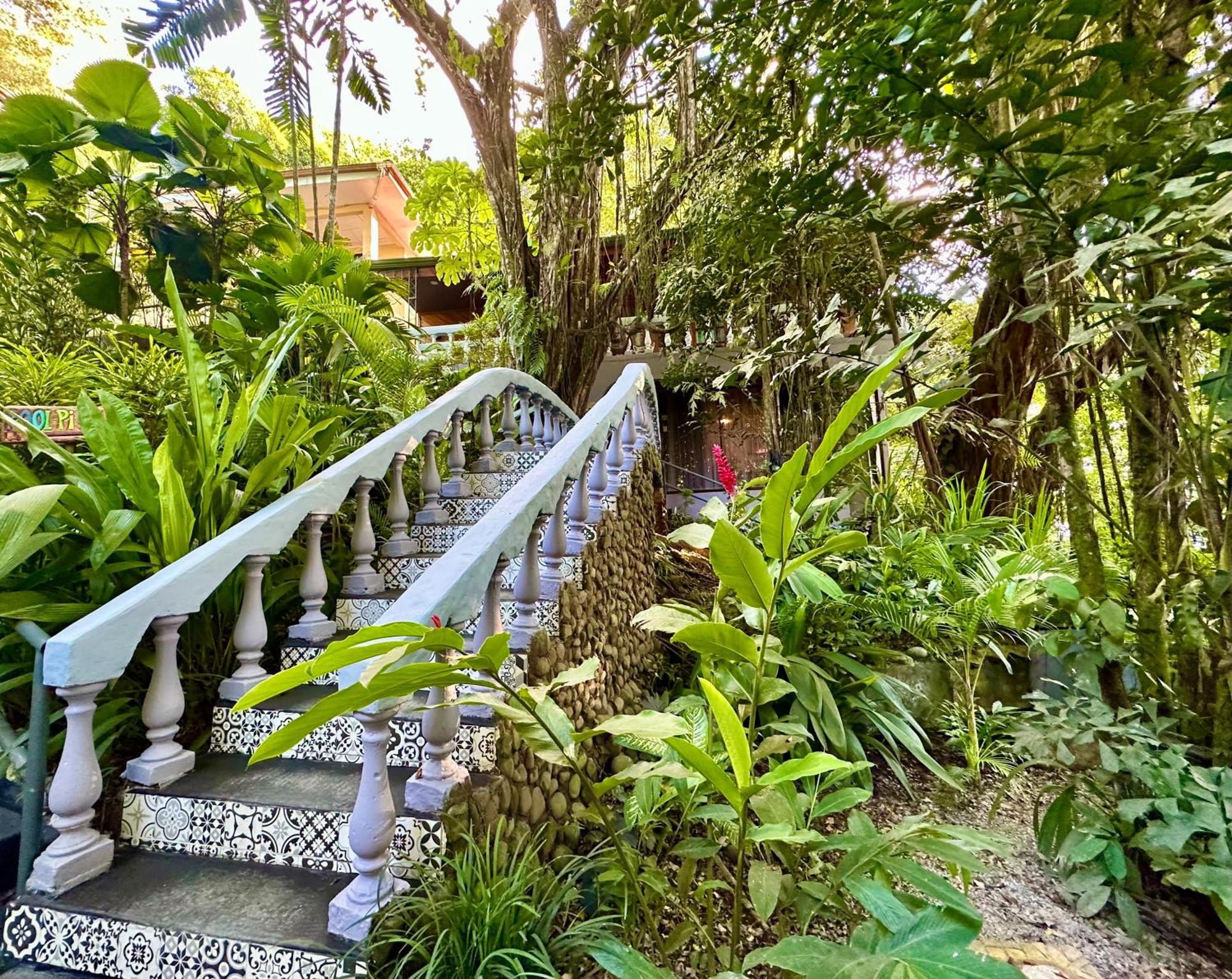 Jungle Beach Hotel Manuel Antonio Bagian luar foto