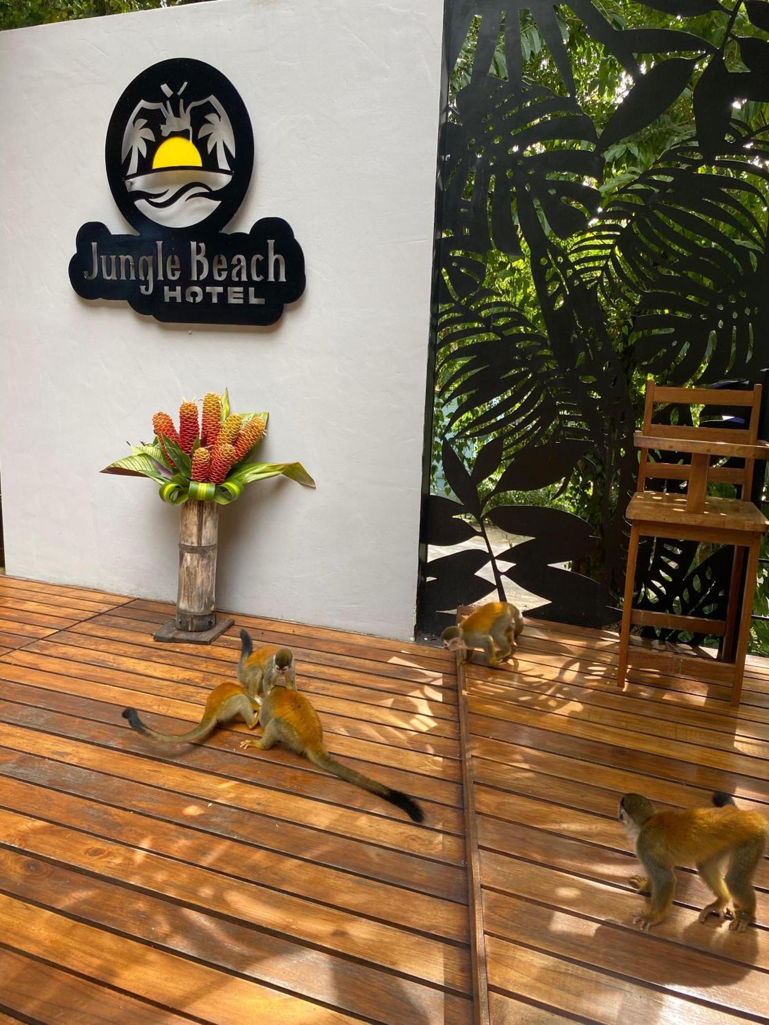 Jungle Beach Hotel Manuel Antonio Bagian luar foto