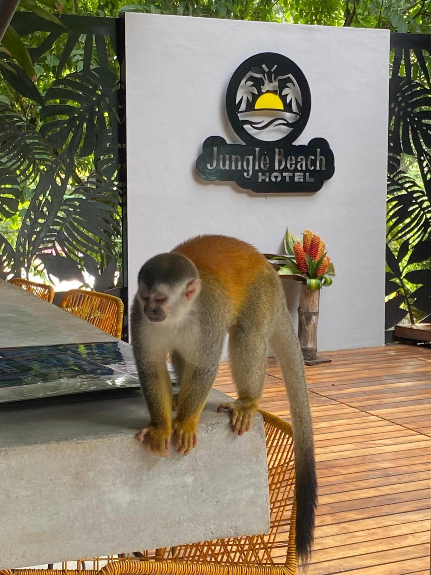 Jungle Beach Hotel Manuel Antonio Bagian luar foto