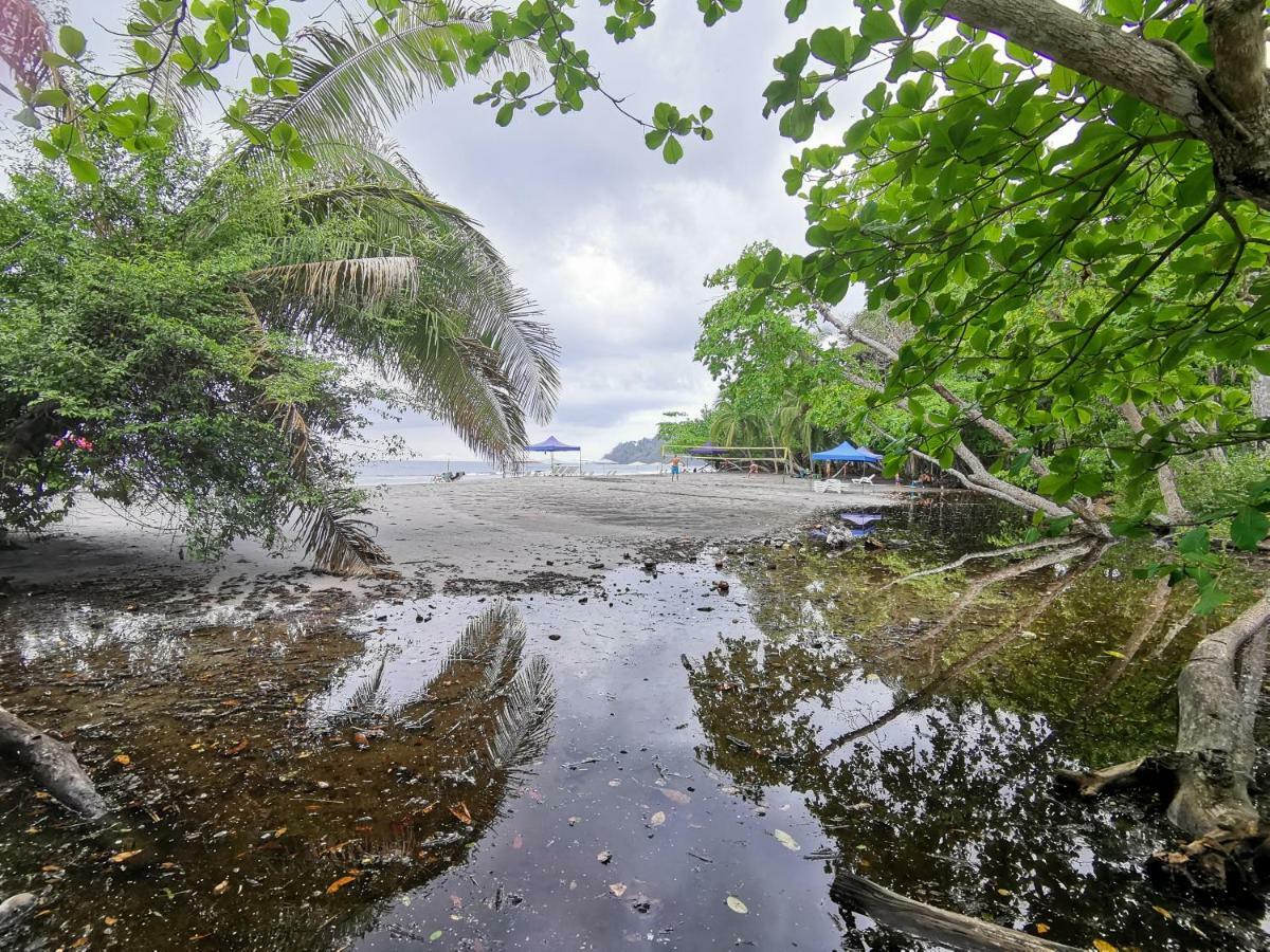 Jungle Beach Hotel Manuel Antonio Bagian luar foto